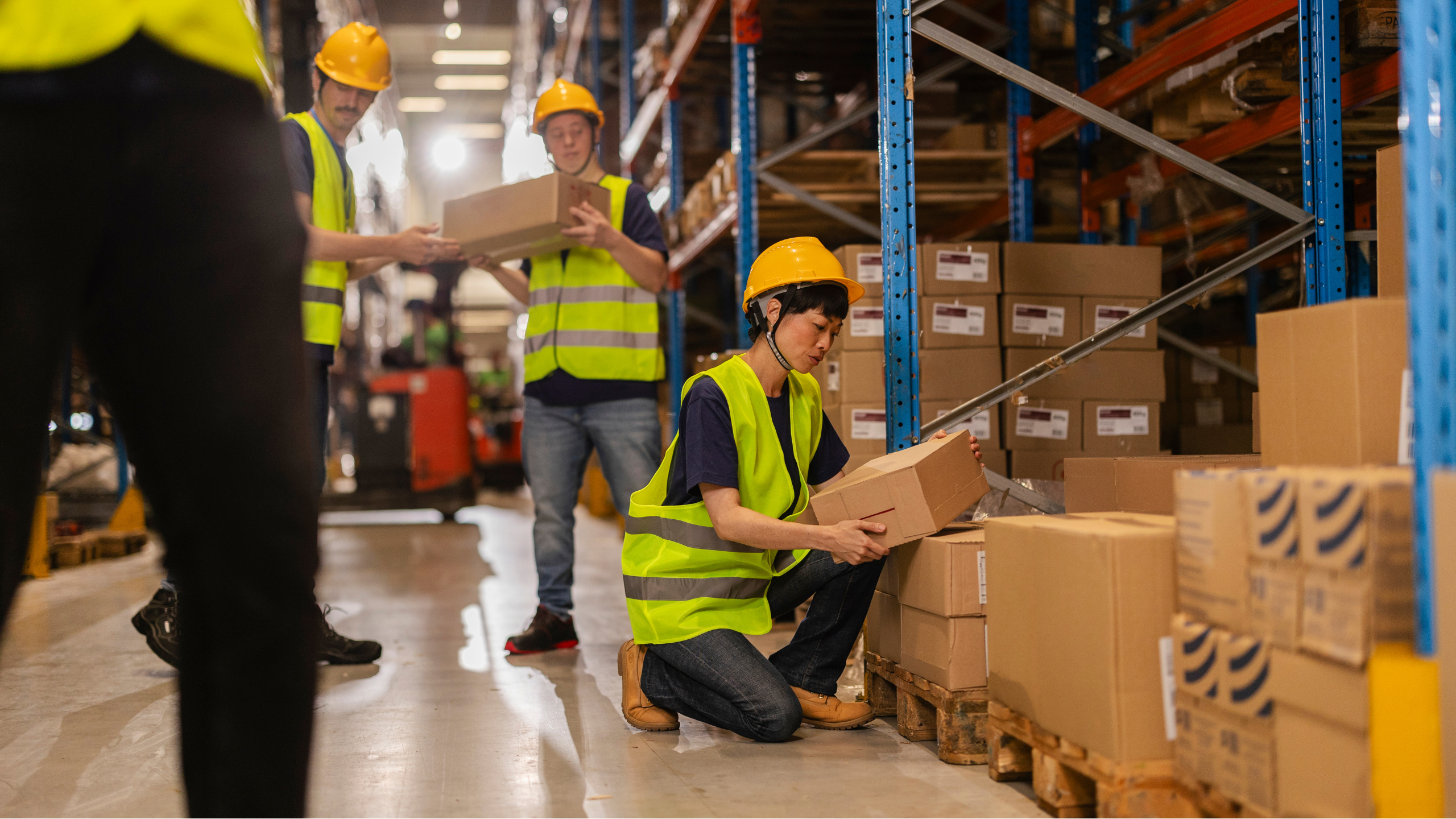 Logistics & Courier Management Suite