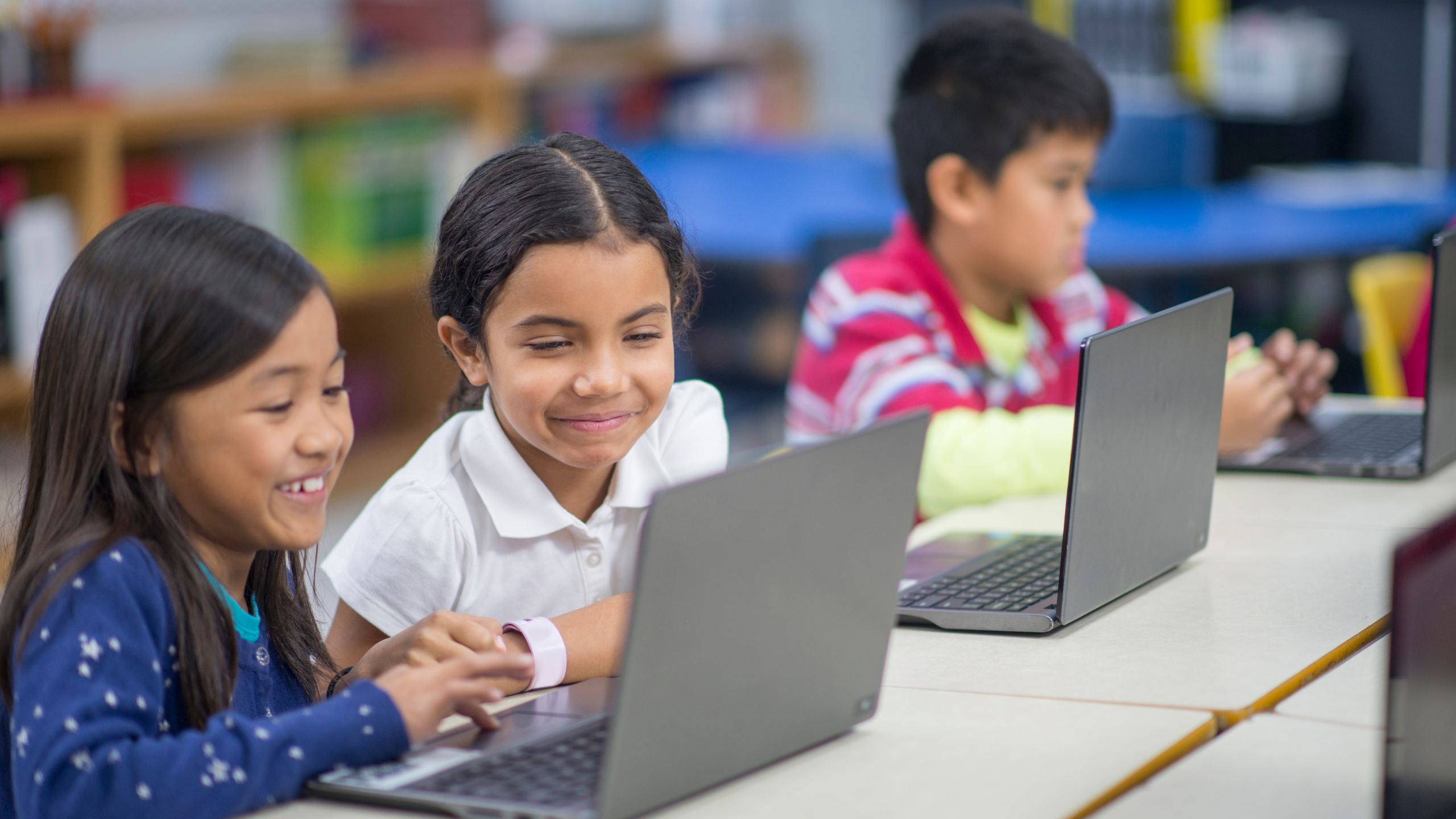 Learning Management Platform (LMS)